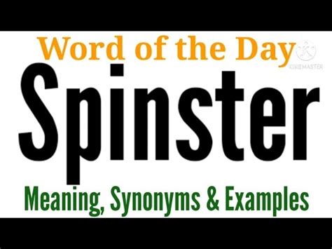 SPINSTER Synonyms: 5 Synonyms & Antonyms for SPINSTER .